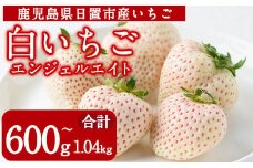 No.1139 ＜先行予約受付中！＞白いちご エンジェルエイト(約600g～1.04kg) 国産 九州産 鹿児島 日置市 生鮮食品 苺 イチゴ 白苺 果物 くだもの フルーツ 天使のいちご【ままりあ農園】