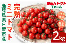 No.1195-B ハウス栽培 完熟ミニトマト(2kg) 国産 九州産 トマト とまと ミニトマト 野菜 ハウストマト 完熟 産地直送【ヨツハトマトファーム】【1195-A】【1195-B】【1195-C】