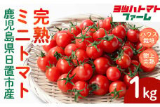 No.1195-A ハウス栽培 完熟ミニトマト(1kg) 国産 九州産 トマト とまと ミニトマト 野菜 ハウストマト 完熟 産地直送【ヨツハトマトファーム】【1195-A】【1195-B】【1195-C】
