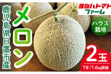 No.1196 ＜先行予約受付中！2025年7月～8月の間に発送予定＞ハウスメロン(2玉・計3.2kg前後) 国産 九州産 メロン フルーツ 先行予約 予約 産地直送【ヨツハトマトファーム】