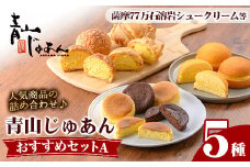 No.1207 青山じゅあんおすすめセットA(5種・合計17個入) 鹿児島 日置市 特産品 お菓子 洋菓子 菓子 おかし スイーツ おやつ カスタード クリーム 冷凍 冷凍配送 ギフト【青山じゅあん】