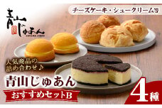 No.1208 青山じゅあんおすすめセットB(4種・合計7個入)鹿児島 日置市 特産品 お菓子 洋菓子 菓子 おかし スイーツ おやつ カスタード クリーム 冷凍 冷凍配送 ギフト【青山じゅあん】