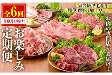 No.1246 ＜定期便・全6回(奇数月)＞お楽しみ！大人気の返礼品定期便 お試しコース(総重量5kg以上・ステーキ、霜降り焼肉、ローストビーフ等) 牛肉 黒毛和牛 和牛 ステーキ すき焼き しゃぶしゃぶ 焼肉 BBQ キャンプ 定期便 頒布会 A5 冷凍 ギフト 贈答【カミチク】