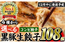 No.429-c-m12 ＜2025年12月中に発送予定＞鹿児島黒豚使用の黒豚コンビ餃子(計108個・黒豚：12個入り×4パック、もちっと：15個入り×4パック)国産 九州産 ぎょうざ ギョウザ 冷凍 黒豚 豚肉 お肉 おかず【末永商店】