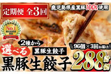 No.861t-A ＜定期便・全3回＞鹿児島黒豚使用の黒豚餃子(合計288個・12個入り×8パック×3回) 国産 九州産 ぎょうざ ギョウザ 冷凍 黒豚 豚肉 お肉 おかず 定期便 頒布会【末永商店】