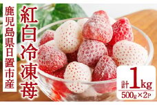 No.646-C 冷凍紅白いちご(約500g×2袋・計約1kg) 国産 鹿児島 日置市 加工品 苺 イチゴ いちご 冷凍 果物 くだもの フルーツ 小粒 冷凍果実 アイス スムージー シロップ ジャム 冷凍フルーツ 数量限定 【ままりあ農園】