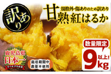 No.892 ＜訳あり・規格外＞栽培期間中農薬不使用 甘熟さつまいも(生)紅はるか9kg以上！(S～4Lサイズ 混在) いも 芋 さつまいも サツマイモ 焼き芋 大学芋 スイーツ 熟成 サイズ不揃い 野菜 秋冬の旬の根菜 先行予約受付中 【上原農園】