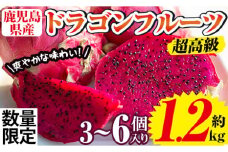 No.248 《数量・期間限定》鹿児島県産！ドラゴンフルーツ(1.2kg・3個～6個) 国産 鹿児島 日置市 産地直送 スイーツ デザート 果実 果物 くだもの フルーツ 栽培期間中 農薬不使用 無農薬 贈り物 贈答品【はまうえ果樹園】【1145】