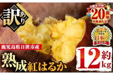 No.560-B ＜訳あり・不揃い＞鹿児島県日置市産さつまいも！熟成紅はるか(約12kg) 国産 九州産 サツマイモ さつま芋 訳アリ 紅春香 熟成 芋 焼き芋 やきいも 野菜 スイーツ 常温 常温保存【末永商店】