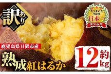 No.560-B ＜訳あり・不揃い＞鹿児島県日置市産さつまいも！熟成紅はるか(約12kg) 国産 九州産 サツマイモ さつま芋 訳アリ 紅春香 熟成 芋 焼き芋 やきいも 野菜 スイーツ 常温 常温保存【末永商店】