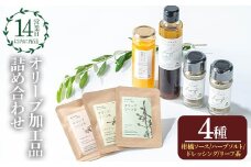 No.1271 日置市産オリーブ加工品詰め合わせセット！(計4種) オリーブ＆柑橘ソース オリーブハーブソルト オリーブドレッシング オリーブリーフ茶 オリーブ セット 料理 調味料 詰め合わせ 詰合せ 箱入り ギフト 贈答 プレゼント【鹿児島オリーブ】