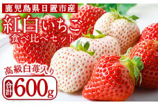 No.1162 ＜先行予約受付中！＞紅白いちごの食べ比べセット(計600g・300g×2トレー) 国産 九州産 鹿児島 日置市 生鮮食品 苺 イチゴ 白苺 赤苺 果物 くだもの フルーツ 大粒 食べ比べ 詰め合わせ パック 【ままりあ農園】