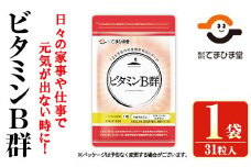 No.1299 ビタミンB群(31粒×1袋) 鹿児島 日置市 健康食品 サプリ 栄養バランス 食生活 安心安全 ビタミン 【てまひま堂】【1031】【1300】