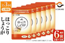 No.1296-A ＜定期便・全3回(隔月)＞ほっこりしょうが(1袋31粒・2袋×3回 計6袋) 鹿児島 日置市 健康食品 加工食品 サプリ 栄養バランス 食生活 安心安全 定期便 頒布会 【てまひま堂】【1030】【1295】