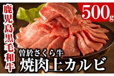 曽於さくら牛焼肉ギフト(上カルビ500g) 黒毛和牛 上カルビ 焼き肉【福永産業】A16-v01