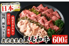 鹿児島県産黒毛和牛の焼き肉セット(和牛ロース肉、モモ肉、国産牛ホルモン 各200g 計600g) 黒毛和牛 焼肉 冷凍【ナンチク】A6-v01