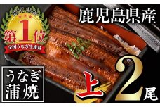 無投薬！鹿児島県産うなぎ蒲焼セット＜上＞(合計280g以上・ 140g以上×2尾) タレ・山椒付き  鰻 うなぎ 蒲焼 【西日本養鰻】A60-v01
