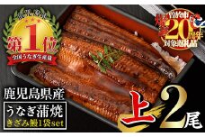【期間限定！】無投薬！鹿児島県産うなぎ蒲焼セット＜上＞(合計330g以上・ 140g以上×2尾＆きざみ鰻50g) タレ・山椒付き  鰻 うなぎ 蒲焼 【西日本養鰻】A509