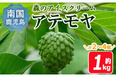【数量限定】森のアイスクリーム 国産アテモヤ (約1kg・計2～4個入) 鹿児島県産 果物 フルーツ【大徳産業】A120-v01