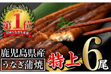 無投薬！鹿児島県産うなぎ蒲焼セット＜特上＞(計960g以上・ 160g以上×6尾) タレ・山椒付  鰻 うなぎ 蒲焼 【西日本養鰻】C7-v02