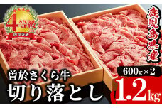 希少！曽於さくら牛 切り落とし1,2kg(600g×2箱) 黒毛和牛 切り落とし 冷凍【福永産業】B61-v01