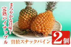 【数量限定】完熟パイナップル 曽於スナックパイン 計2個(1個・約800g～1.2kg) 鹿児島県産 果物 フルーツ【大徳産業】A-107-v01