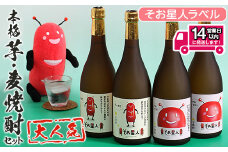 ＜2週間以内発送！＞鹿児島曽於市の本格焼酎を飲み比べ そお星人の芋焼酎と麦焼酎セット 岩川醸造(720ml×4本) 芋焼酎 麦焼酎 飲み比べ【山元商店】A58-v01