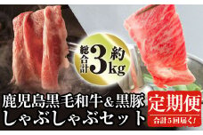 ＜定期便・全5回＞鹿児島県産黒毛和牛と黒豚のしゃぶしゃぶセット(各300g×2×5回・計3kg) 黒毛和牛 黒豚 定期便【ナンチク】T1-v01