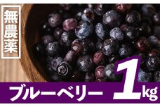 【数量限定】鹿児島県曽於市産 ブルーベリー 約1kg 国産 果物 フルーツ【古里庵】A-163