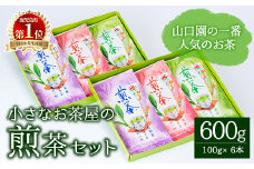 ＜お茶生産量日本一の鹿児島県産！＞小さいお茶屋の煎茶セット(煎茶100g×6本・合計600g) 鹿児島県産 煎茶 セット【お茶の山口園】A185-v01