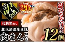 ＜数量限定企画実施中！＞【訳あり】黒豚まん12個入り！化粧箱なし自宅用！ 肉まん 黒豚 訳あり【有限会社アグリおおすみ】A188-v02