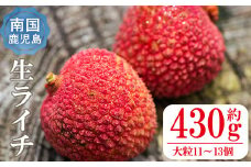 【数量限定】鹿児島県曽於市産 生ライチ(約430g・大粒11～13個) 鹿児島県産 果物 フルーツ【大徳産業】A157-v01