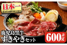 鹿児島黒牛すきやきセット(計約600g)【D-101】 鹿児島県産 黒毛和牛 すき焼き【そお鹿児島農業協同組合】B130-v01