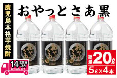 ≪鹿児島本格芋焼酎≫おやっとさあ黒(5L×4本・計20L) 芋焼酎 お酒 セット【岩川醸造】C27-v01