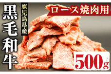 鹿児島県産黒毛和牛ロース500g(焼肉用カット) 国産 鹿児島県産 黒毛和牛【アグリおおすみ】A288-v01