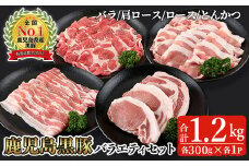 鹿児島黒豚バラエティセット合計1.2kg(バラ、肩ロース、ロース、とんかつ各300g)【Ｌ-2101】 鹿児島県産 黒豚 詰合わせ【そお鹿児島農業協同組合】A326-v01