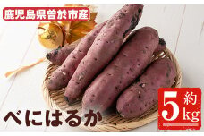 ＜先行予約受付中・2025年8月以降順次発送予定＞鹿児島県曽於市産！新物 紅はるか(5kg) 芋 さつまいも 紅はるか【瀬崎農園】A349-v01