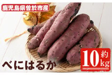 ＜先行予約受付中・2025年8月以降順次発送予定＞鹿児島県曽於市産！新物 紅はるか(10kg) 芋 さつまいも 紅はるか【瀬崎農園】A350-v02