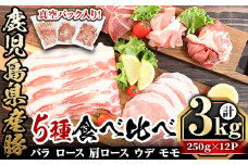 鹿児島県産「天恵美豚」豚バラ・ロース・肩ロース・モモ・ウデ(250g×12P・計3kg) 国産 豚 豚肉【アグリおおすみ】B142-v01