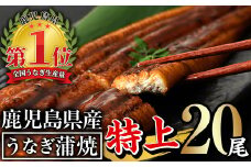 無投薬！鹿児島県産うなぎ蒲焼セット＜特上＞(計3.2kg以上・ 160g以上×20尾) タレ・山椒付き 鰻 ウナギ 国産【西日本養鰻】E13-v01