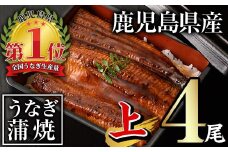 無投薬！鹿児島県産うなぎ蒲焼セット＜上＞(計560g以上・ 140g以上×4尾) タレ・山椒付き 鰻 ウナギ 国産【西日本養鰻】B144-v01