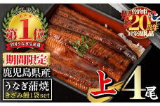 【期間限定！】無投薬！鹿児島県産うなぎ蒲焼セット＜上＞(計610g以上・ 140g以上×4尾＆きざみ鰻50g) タレ・山椒付き 鰻 ウナギ 国産【西日本養鰻】A511