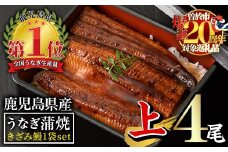 【期間限定！】無投薬！鹿児島県産うなぎ蒲焼セット＜上＞(計610g以上・ 140g以上×4尾＆きざみ鰻50g) タレ・山椒付き 鰻 ウナギ 国産【西日本養鰻】A511