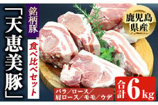 鹿児島県産「天恵美豚」！BBQ ブロック セット 豚バラ・ロース・肩ロース・モモ・ウデ(計6kg) 国産 豚肉 食べ比べ【アグリおおすみ】 D28-v01