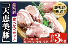 鹿児島県産「天恵美豚」！BBQ ブロック セット 豚バラ・ロース・肩ロース・モモ・ウデ(計3kg) 国産 豚肉 食べ比べ【アグリおおすみ】 B154-v01