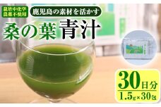 鹿児島県産 桑の葉 茶農家が作った素材を活かす美味しい青汁 (1.5g×30包・計30日分)国産 鹿児島県産 桑【アグリおおすみ】A-376