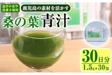 鹿児島県産 桑の葉 茶農家が作った素材を活かす美味しい青汁 (1.5g×30包・計30日分)国産 鹿児島県産 桑【アグリおおすみ】A-376