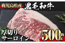 鹿児島県産黒毛和牛厚切りサーロイン(500g) タレ 調味料付き！ 黒毛和牛 和牛 赤身【1129】B152-v01