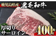 鹿児島県産黒毛和牛厚切りサーロイン(400g) タレ 調味料付き！ 黒毛和牛 和牛 赤身【1129】A358-v01