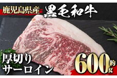 鹿児島県産黒毛和牛厚切りサーロイン(600g) タレ 調味料付き！ 黒毛和牛 和牛 赤身【1129】B153-v01